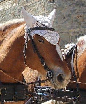 Bonnet chasse mouches blanc neuf cheval de trait