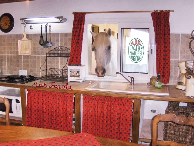 G&Icirc;TE EQUESTRE EN CAMARGUE