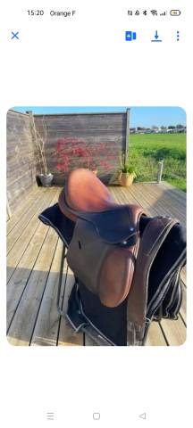 Selle Antares Spooner 