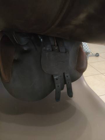 Selle Antares Spooner 