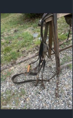 Sellette Harnais surfaix cuir collier  Selle de travail