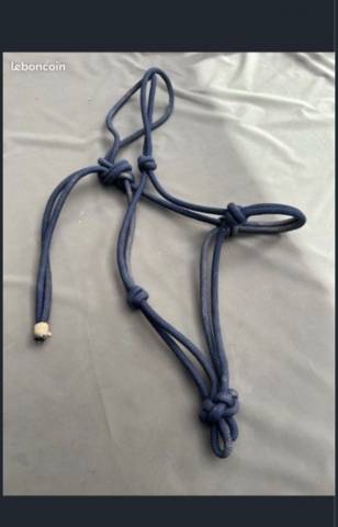 Licol bleu marine etho ethologique  Taille grand cheval
