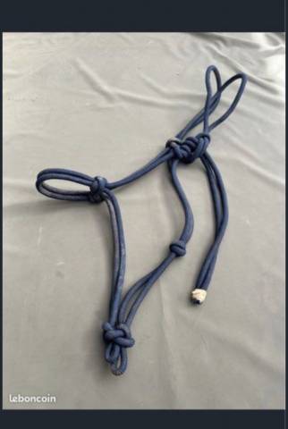 Licol bleu marine etho ethologique  Taille grand cheval