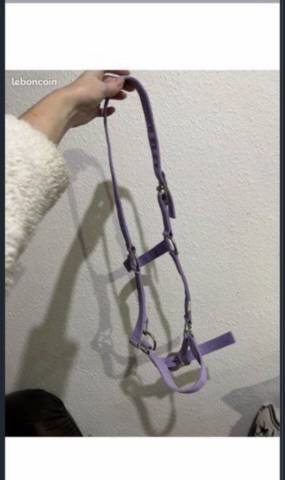 Licol violet taille cob  Petit Cheval poney &eacute;quitation