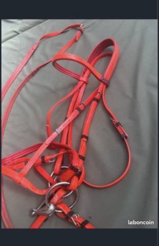Filet licol bride endurance randonn&eacute;e  Norton rouge  