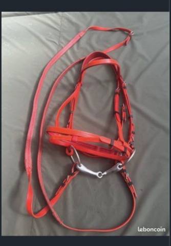Filet licol bride endurance randonn&eacute;e  Norton rouge  