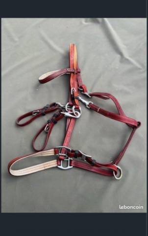 Filet licol bride endurance randonn&eacute;e  Norton rouge 