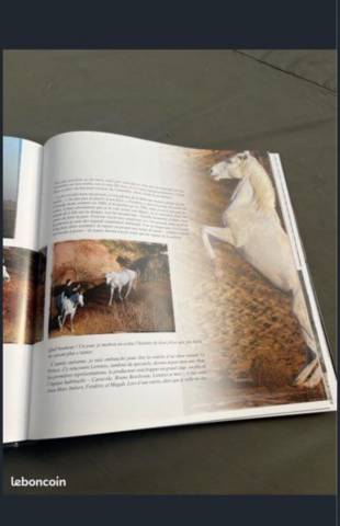 Tr&egrave;s rare livre Jean Francois pignon cheval &eacute;quitation 