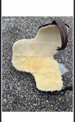 Selle sans ar&ccedil;on 