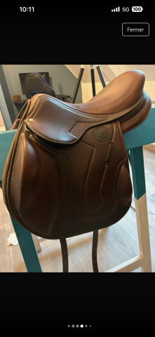 Selle antares 2019 signature mixte