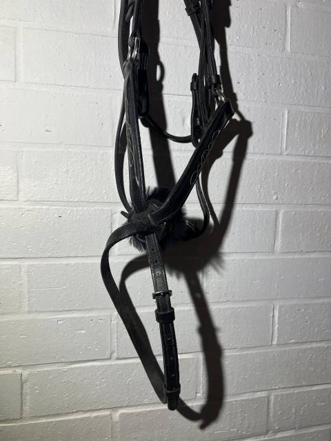 Filet bride bridon cheval muserolle crois&eacute;e  Tr&egrave;s bonne