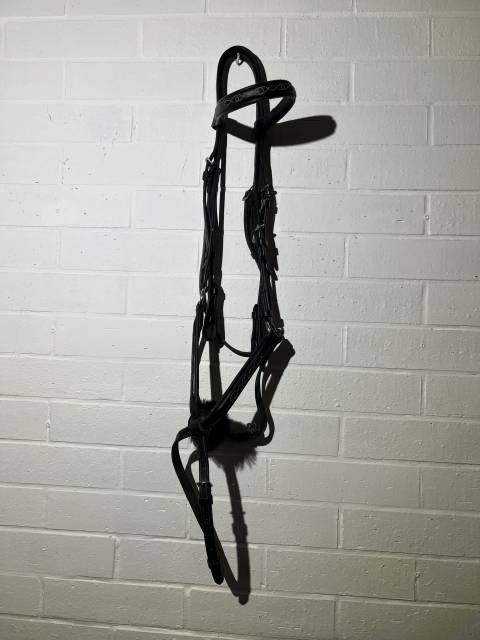 Filet bride bridon cheval muserolle crois&eacute;e  Tr&egrave;s bonne