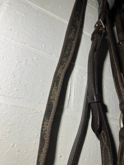 Filet bride bridon cheval muserolle crois&eacute;e  bonne &eacute;tat