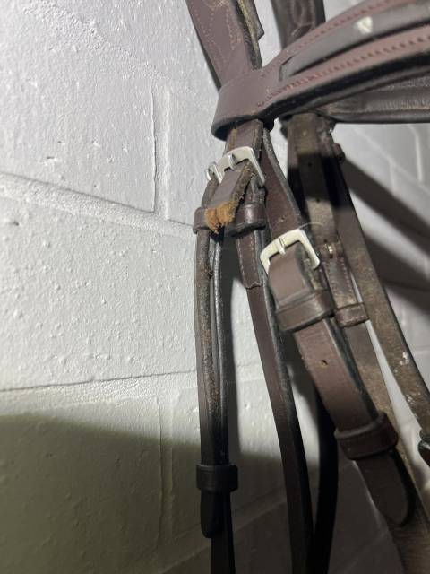 Filet bride bridon cheval muserolle crois&eacute;e anatomique 