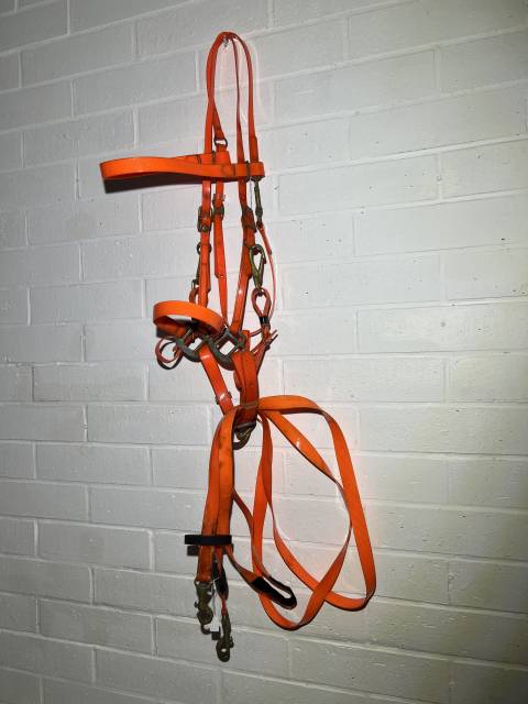 Filet licol bride bridon endurance randonn&eacute;e orange 