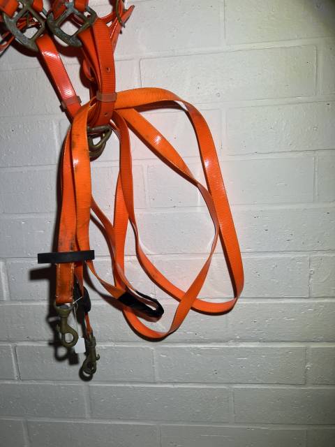 Filet licol bride bridon endurance randonn&eacute;e orange 