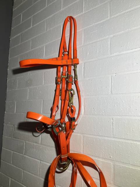 Filet licol bride bridon endurance randonn&eacute;e orange 