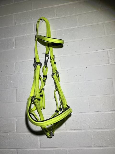 Filet licol bride bridon endurance randonn&eacute;e jaune vert