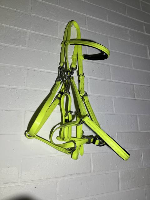 Filet licol bride bridon endurance randonn&eacute;e jaune vert