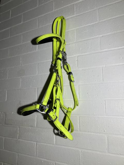 Filet licol bride bridon endurance randonn&eacute;e jaune vert