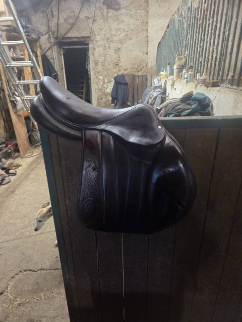 Selle forestier seoul 2023