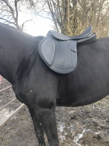 Selle randonn&eacute;e Rexine Evol Norton 