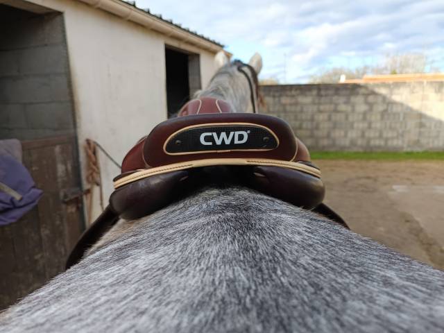 Selle mademoiselle Cwd