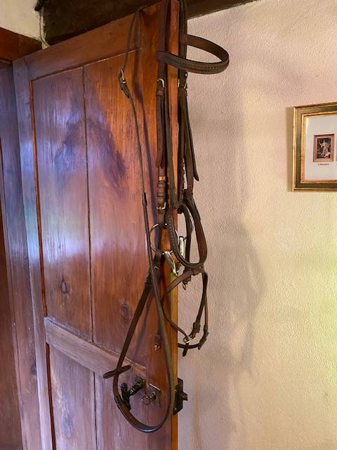 Filet en cuir Anglais - Tr&egrave;s bon &eacute;tat