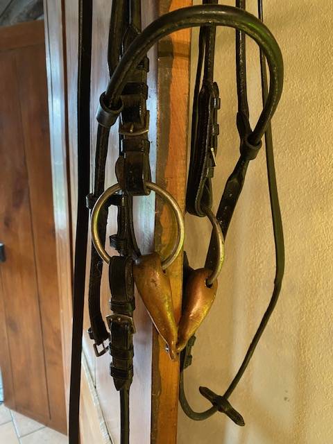 Filet en cuir Anglais rond, muser Fran&ccedil;aise, Bon &eacute;tat.