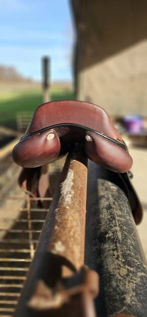 Selle GBS de 2022  Taille 17,5 couleur havane