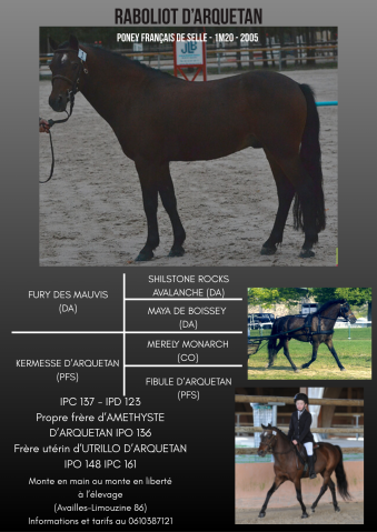 Raboliot d'Arquetan  - Approuv&eacute; PFS
