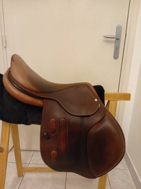 Selle gbs mixte 2018