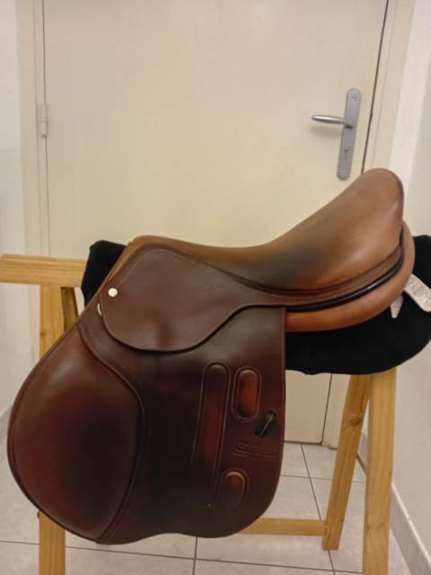 Selle gbs mixte 2018