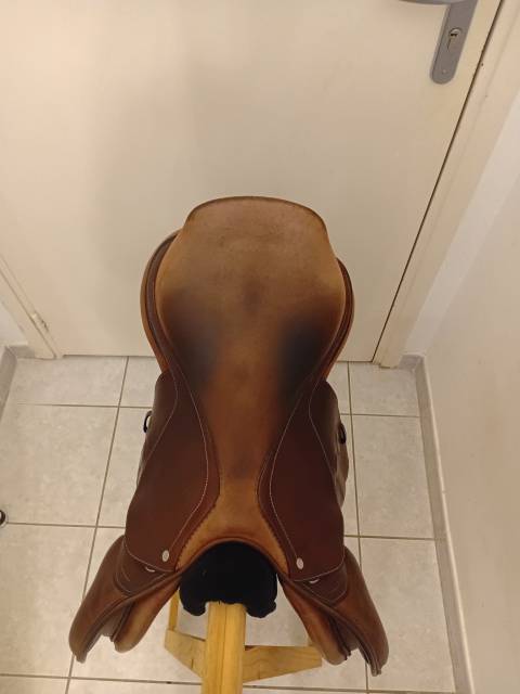 Selle gbs mixte 2018