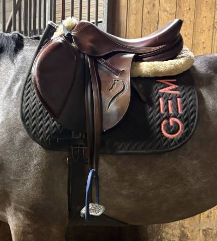 Selle antares de 2013