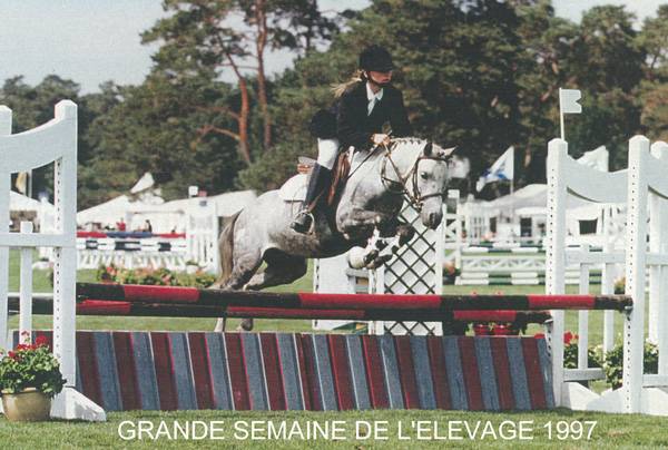 Excellent caract&egrave;re, coup de saut, franchise, facilit&eacute;