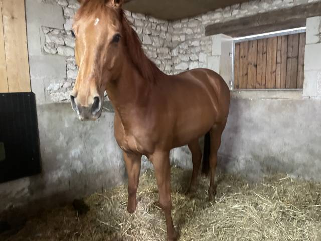 &Agrave; vendre AQPS 12 ans