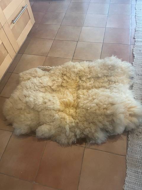 selle paraguayenne rando neuve