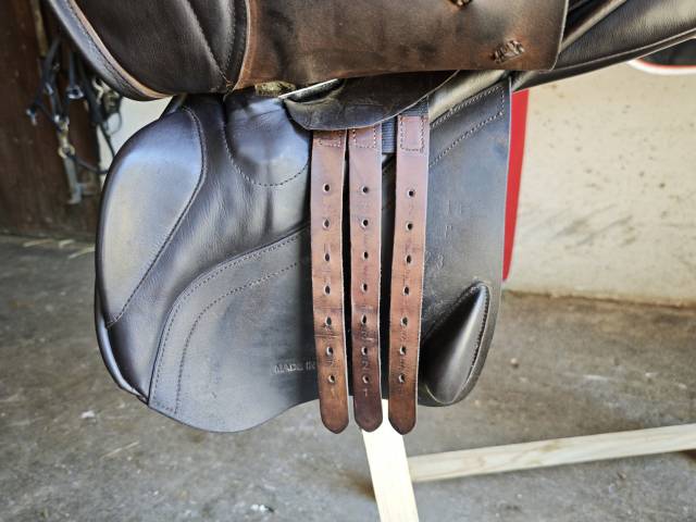 Amplitude sellerie cso