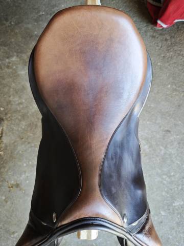 Amplitude sellerie cso