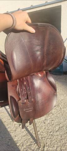 Selle childeric 17 pouces 