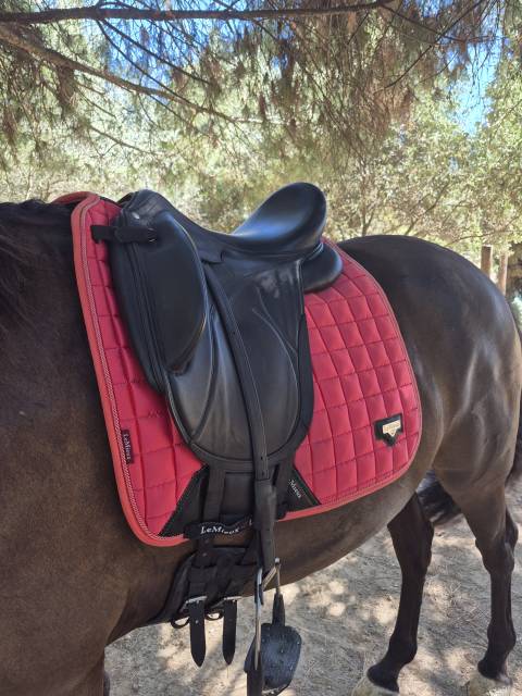 Selle DEVOUCOUX Makila Lab 2024