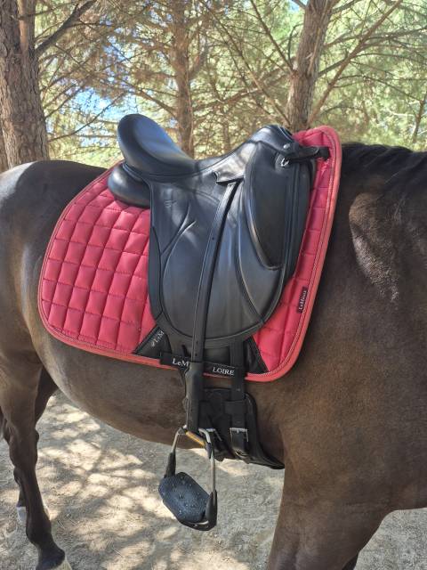 Selle DEVOUCOUX Makila Lab 2024