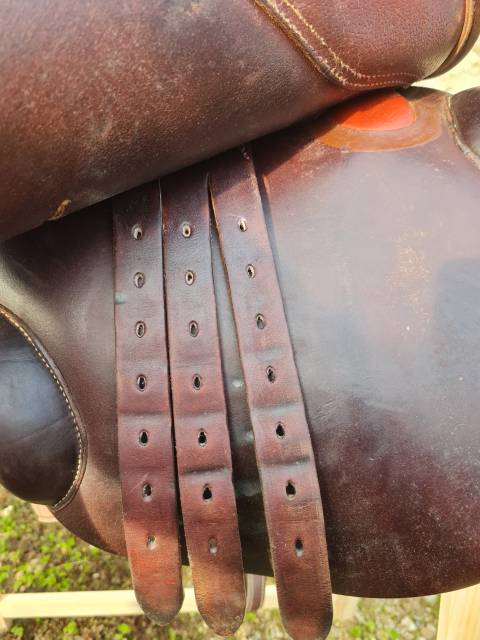 Selle obstacle Childeric 2009