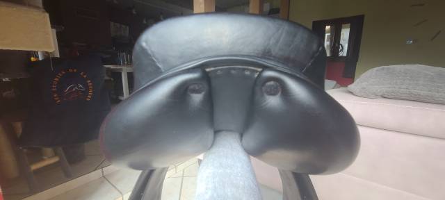 B.Delgrange Ath&eacute;na 17,5" noire + Couvre-selle d'origine