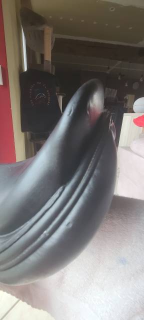 B.Delgrange Ath&eacute;na 17,5" noire + Couvre-selle d'origine