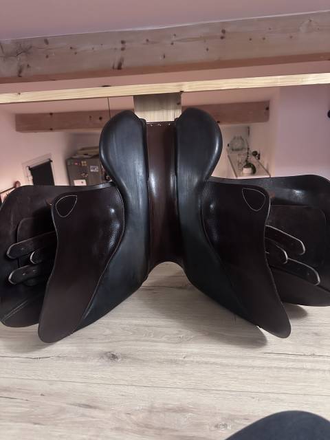 Selle Forestier Club &ndash; Taille 18 &ndash; Havane (2019)