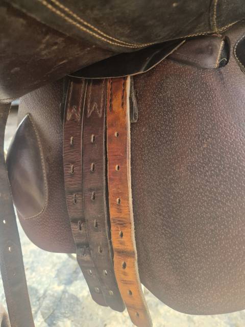 Selle Prestige x Fouilloux 