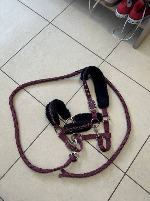 Ensemble licol + longe en mouton Fouganza 