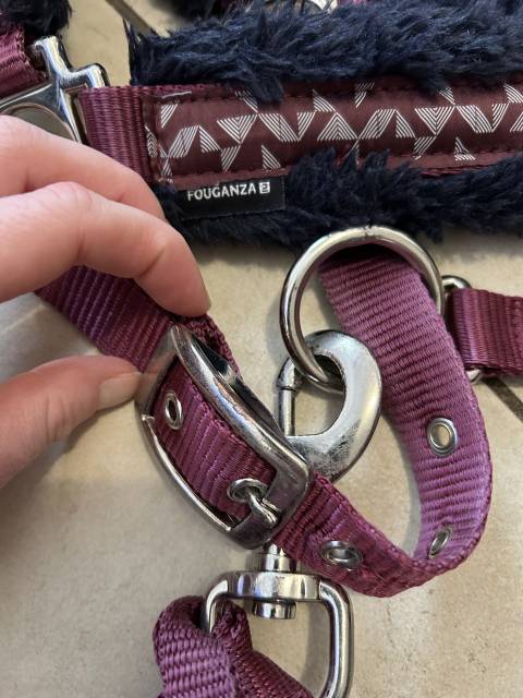 Ensemble licol + longe en mouton Fouganza 